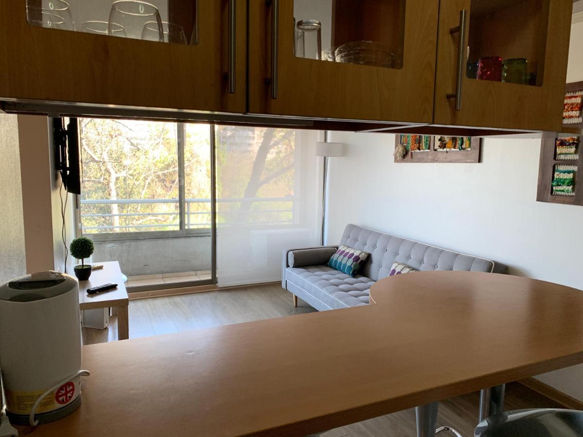 Departamento Amoblado Providencia Appartement Santiago Buitenkant foto