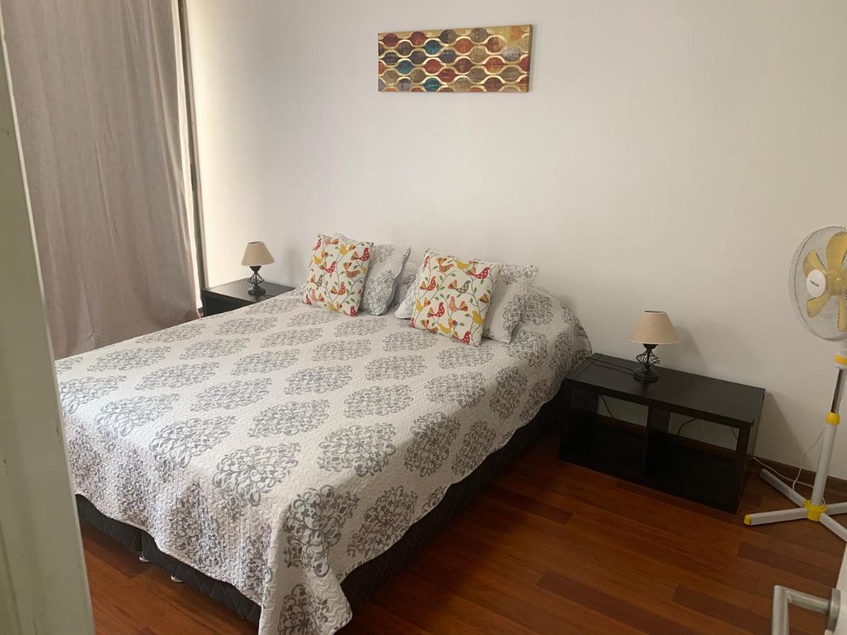 Departamento Amoblado Providencia Appartement Santiago Buitenkant foto